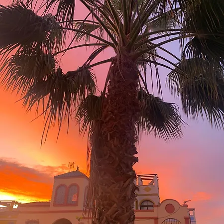 Amaya * Torrevieja