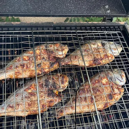 شقة Amaya تورّيفيِخا