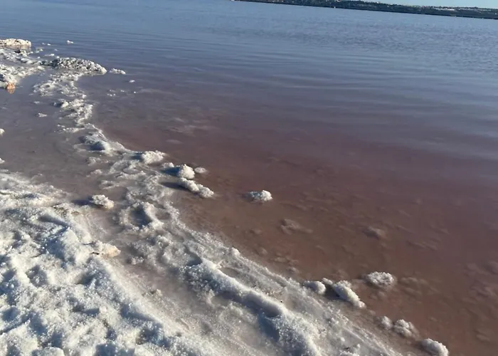 Apartment Amaya Torrevieja